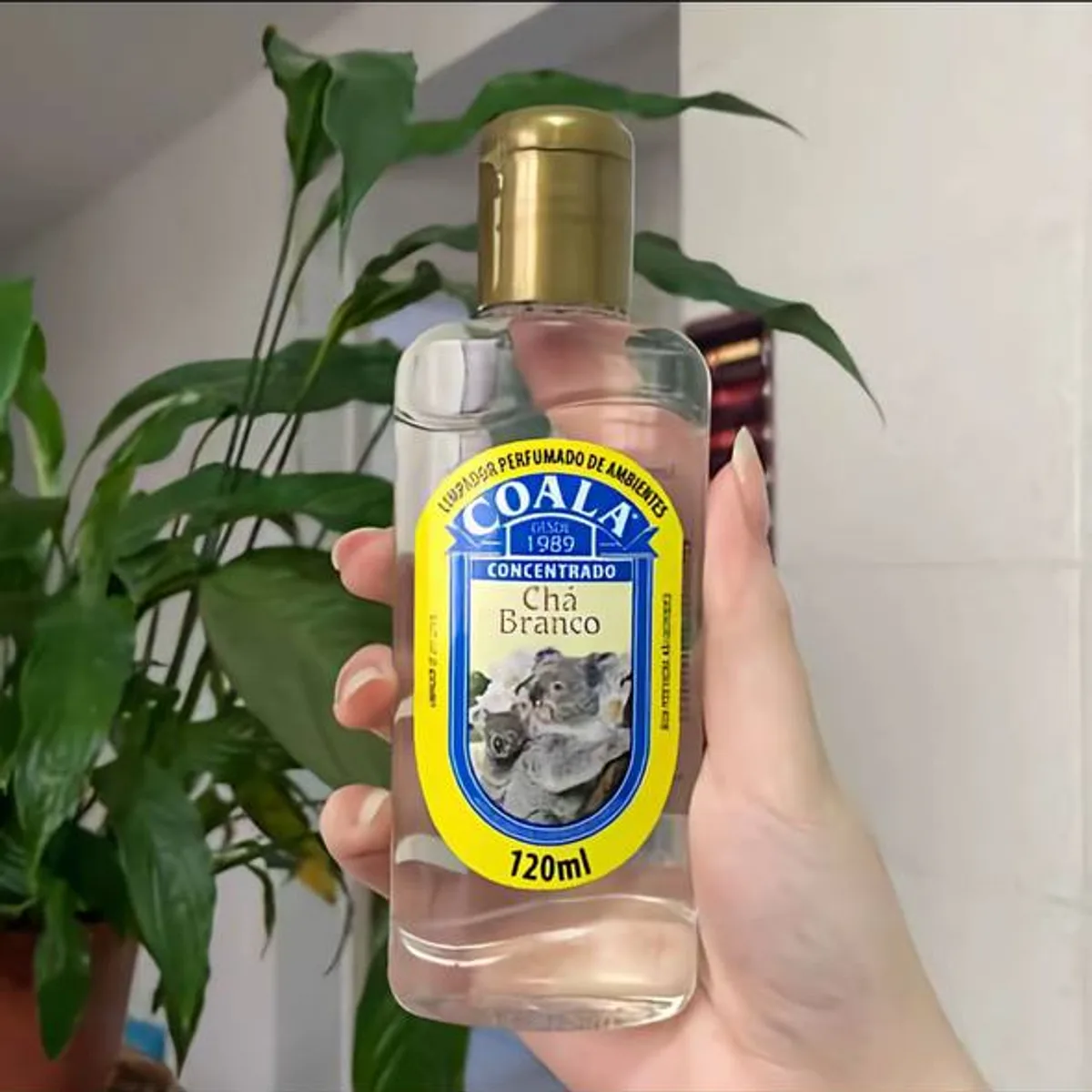 Coala Chá Branco limpador perfumado 120ml